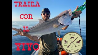 TRAINA CON IL VIVO PUGLIA DOPPIO STRIKE LIVE BAIT TROLLING DOUBLE STRIKE DENTICE RICCIOLA CERNIA [upl. by Eugenle]