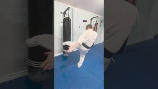 Gedan Mawashi Geri  Tobi Ushiro Geri karate bagwork martialarts [upl. by Intosh]