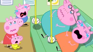 Peppas Family Suffered a Broken Leg  Peppa Pig Funny Animation [upl. by Woll176]