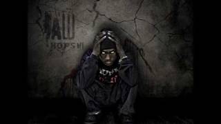 Hopsin  Hot 16s RAW [upl. by Rothstein]