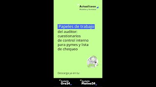 🚨 Papeles de trabajo del auditor cuestionarios de control interno para pymes y lista de chequeo [upl. by Capp]