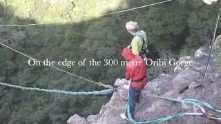 Oribi Gorge Swing  South Africa [upl. by Anilahs]