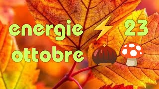 ENERGIE ⚡ 23 OTTOBRE 🍄🌰 [upl. by Jea]