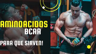 Aminoácidos bcaa Para Que Sirven [upl. by Eissac121]