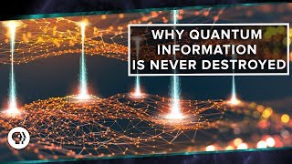 Why Quantum Information is Never Destroyed [upl. by Brinn]