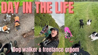 DAY IN THE LIFE AS A FULL TIME DOG WALKER [upl. by Wehhtam]