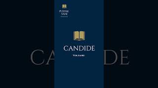 A Plot overview of the book Candide by Voltaire [upl. by Urion857]