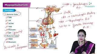 Hypopituitarism Hindi  Internal Medicine [upl. by Marjie]