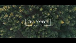 The Forest  Short Cinematic Drone Footage  Poland [upl. by Drandell]