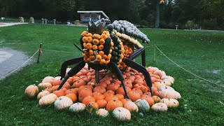 Pumpkin festival in Ludwigsburg Germany [upl. by Benson]