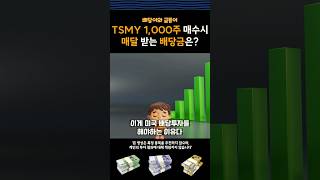 TSMY 1000주 매수시 매달 생기는 일  feat tsmc [upl. by Ayrolg]