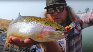 BEGINNERS Guide To Successful TROUT Fishing  3 Detailed Trout Tactics [upl. by Chadwick]