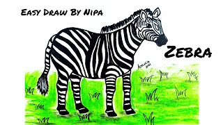 Zebra Drawing  How To Draw Zebra Easy For Beginners [upl. by Aldos]