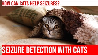 Train Your Cat to Sense Seizures How It Works [upl. by Rhynd]