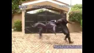 African action movie  Epic Black Terminator [upl. by Ginevra]