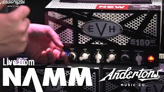 Everything New from EVH Guitars and Amplifiers [upl. by Dickerson]