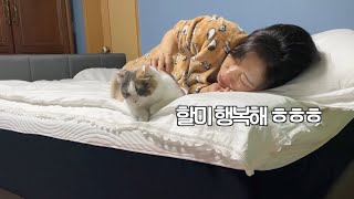 SUB 쫀떡이 보고 싶다고 운 할미 때문에 본가 다시 놀러갔어요 [upl. by Pachston]