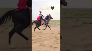 Kalyan Power🖤🦅 horse ytshorts shorts short horserace horse [upl. by Lucian171]