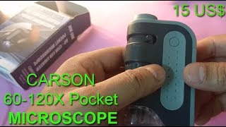 Carson Pocket Sized Portable Miscoscope 60120X [upl. by Spieler]