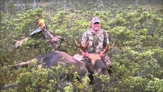 HIDEAWAY LODGE Newfoundland Moose Hunting Outfitters [upl. by Llezom]