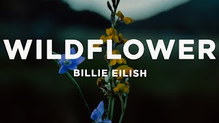 Billie Eilish  WILDFLOWER Lyrics [upl. by Tai]