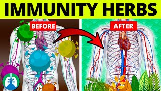 Top 5 Herbs to Kill Viruses and Boost Your Immune System [upl. by Gilus]