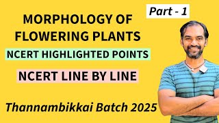 Morphology of Flowering Plants in Tamil  NCERT Highlighted points  TB 2025 [upl. by Assenat]