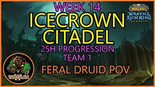 Icecrown Citadel Full Clear  Week 14  Team 1  Feral Druid  Wrath Classic [upl. by Neelat]