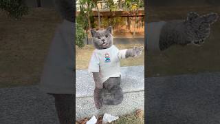 Dont Throw It✋ Its A Surprise Snack For The Squirrel🐿️🌰 catvideos catmemes trending [upl. by Mylor]