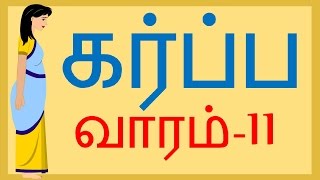 Pregnancy Week by Week  Tamil  Week 11  வாரம் 11 [upl. by Oswal976]