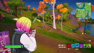 Fortnite20241120180806 [upl. by Pasol]