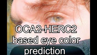 I BROUGHT GEDMATCH EYE COLOR PREDICTOR BACK [upl. by Harley879]