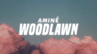 Aminé  Woodlawn Lyrics [upl. by Merl287]