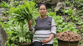 Ly Thi Ca Is 8 Months Pregnant  Harvesting Turmeric amp Green Vegetables Goes to market sell [upl. by Razatlab267]