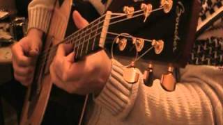 Acoustic Blues Guitar  Tribute to Lonnie Johnson [upl. by Isac]