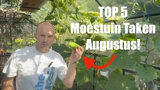 Deze 5 belangrijke Moestuin taken wil je niet overslaan in Augustus  De Moesketier [upl. by Garrity]