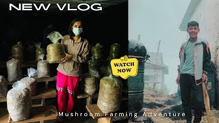 Chyau kheti garni sajilo tarika How to make straw mushroom [upl. by Noicnecsa]