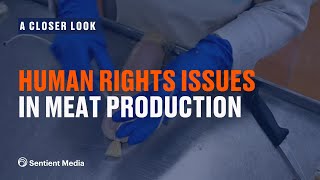 Human Rights Issues in Meat Production [upl. by Tay]