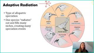 How Speciation Happens  Step 1 [upl. by Furmark658]