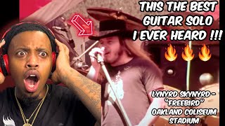 MY FIRST TIME WATCHING  Lynyrd Skynyrd  Freebird  721977  Oakland Coliseum Stadium REACTION [upl. by Alleuol519]