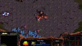 Starcraft  Zerg Mission 1 Among the Ruins [upl. by Notsud]