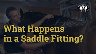 What to Expect in a Saddle Fitting by Schleese Saddlery [upl. by Humbert467]