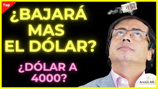 ¿BAJARA MAS EL DOLAR EN COLOMBIA EN 2023 [upl. by Leamhsi848]