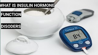 What is insulin hormone [upl. by Norrabal474]