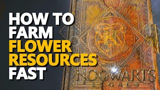 How to farm Flower Resources Fast Hogwarts Legacy [upl. by Allenad]