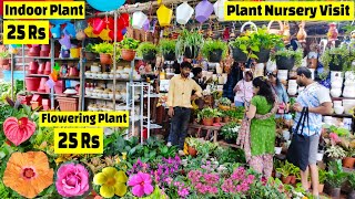 Plant Nursery visit  पौधे की कीमत 25 Rs  Plant Price with Names  Amit Nursery 🌻🌺 [upl. by Aelahc]