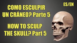 COMO Esculpir el CRÁNEO en Plasticera o Arcilla Parte 5  HOW to Sculp the SKULL in Clay Part 5 [upl. by Cochrane483]