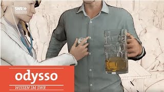 Wie sich der Körper vom Alkohol erholt  SWR Wissen [upl. by Goodson]