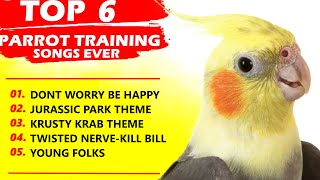 PARROT TRAINING SONGS EVERWhistle TrainingTeach Your BirdCockatiel SingingBudgie [upl. by Alecia]