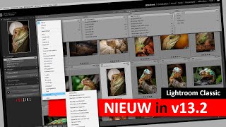 Lightroom Classic  Weinig Nieuw in versie 132 Dutch [upl. by Thierry572]